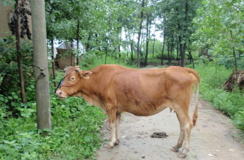 乐清最新求一个套医保卡的黄牛是真的吗方法分析(最方便真实的乐清求一个套医保卡的黄牛是真的吗还是假的方法)